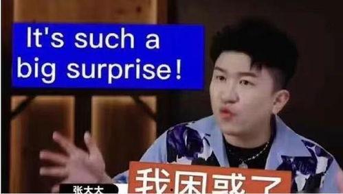 河北老铁爆料大胖子视频,大胖子视频背后的故事